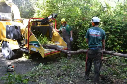 tree services South Wilmington